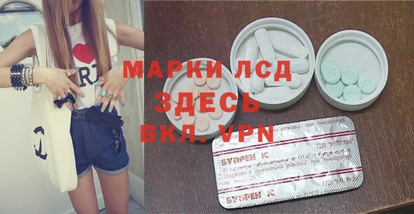 шишки Переславль-Залесский