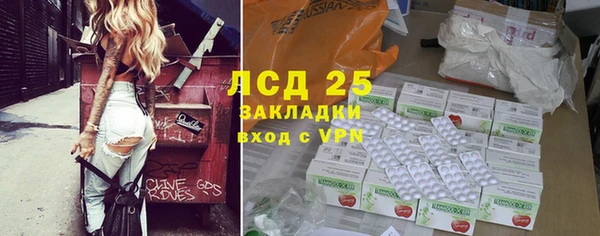 сатива Пересвет