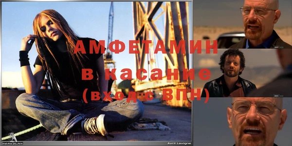 шишки Пестово