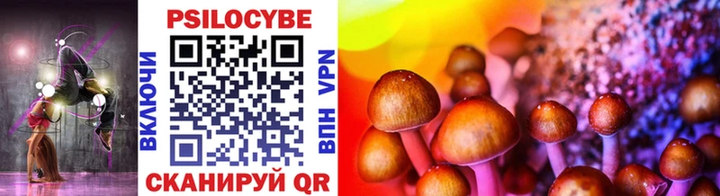 Псилоцибиновые грибы Psilocybine cubensis  Кириллов 